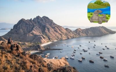 Your Ultimate Guide to Exploring Komodo National Park, Indonesia: Top Tips and Tricks