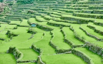Discover the Beauty of Banaue-Batad Rice Terraces through Trekking in the Philippines