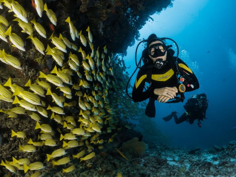 Scuba diving girl