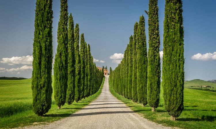 Health and Wellness Travel: Tuscany, Italy
